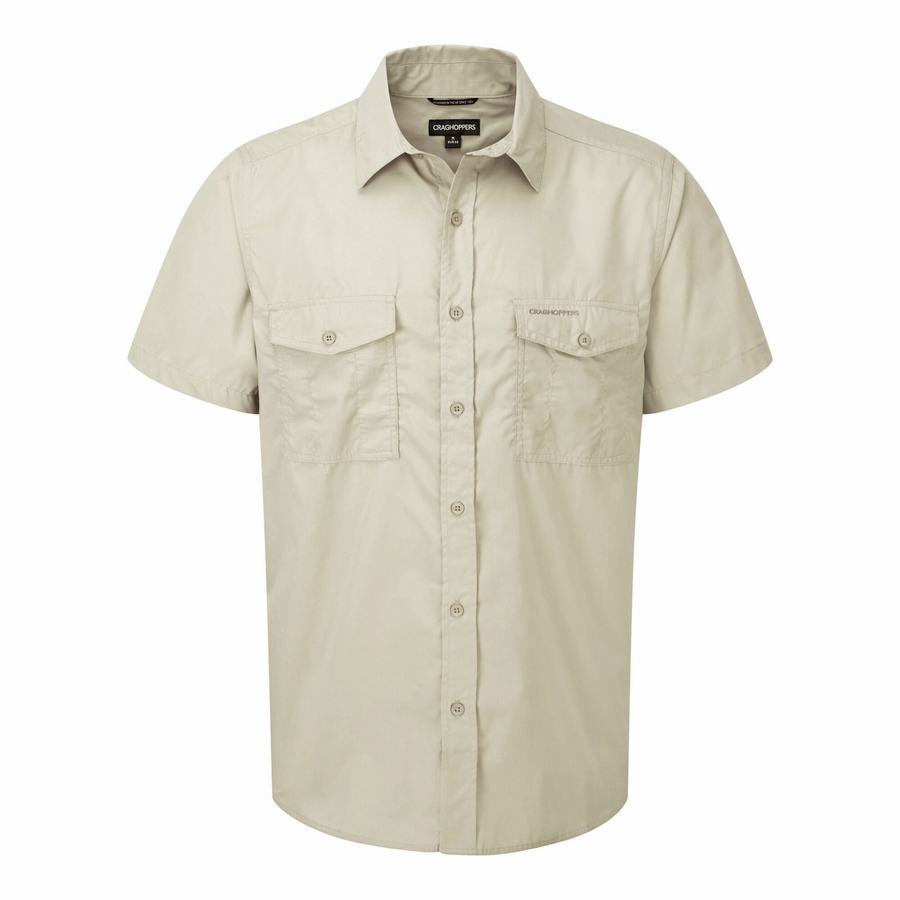 Beige Craghoppers Kiwi Short Sleeved Men's Shirts | RJX9685VW