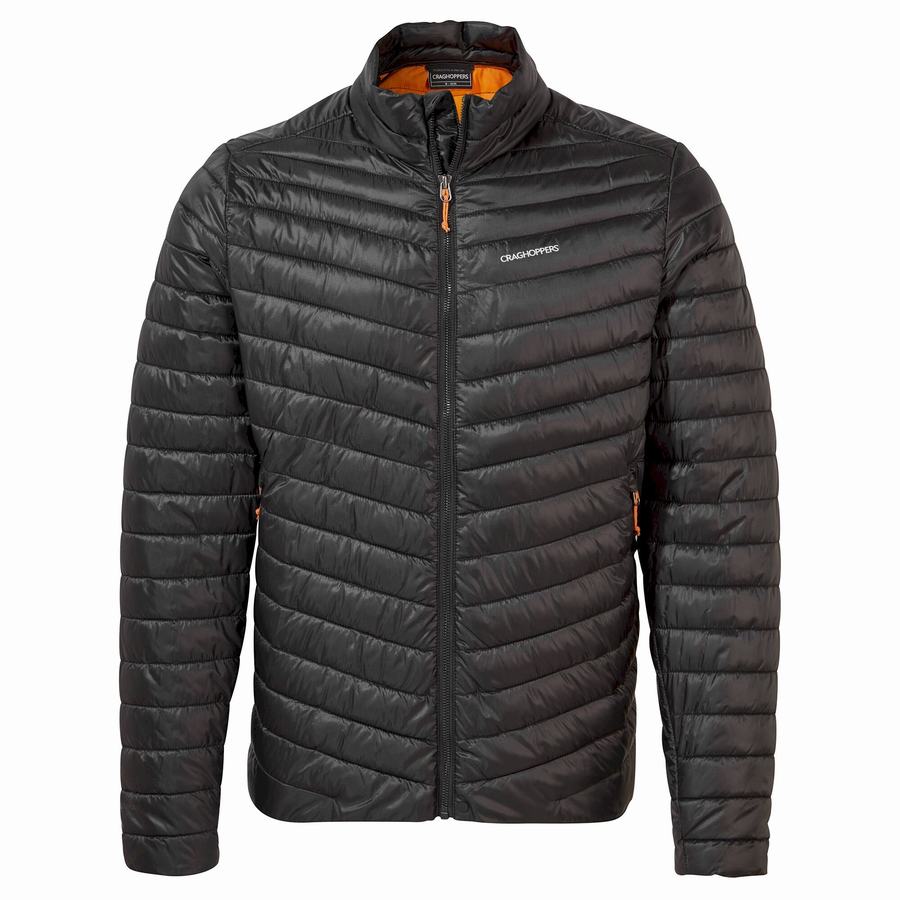 Black Orange Craghoppers Insulated ExpoLite Men's Jackets | KPP3013FU