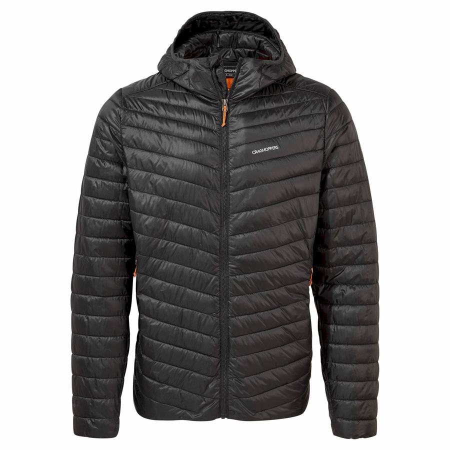 Black Orange Craghoppers Insulated ExpoLite Hooded Men's Jackets | XDP1070YC