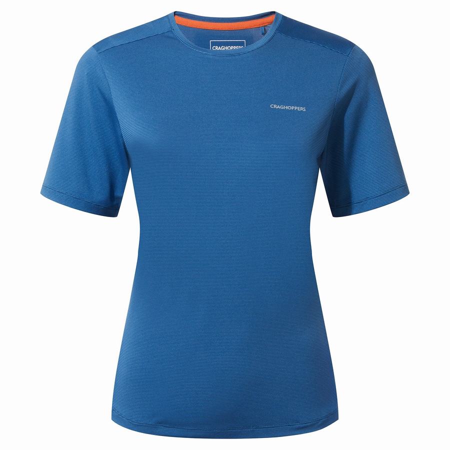 Blue Craghoppers Aliso Short Sleeved Women's T-Shirts | EBK809NL