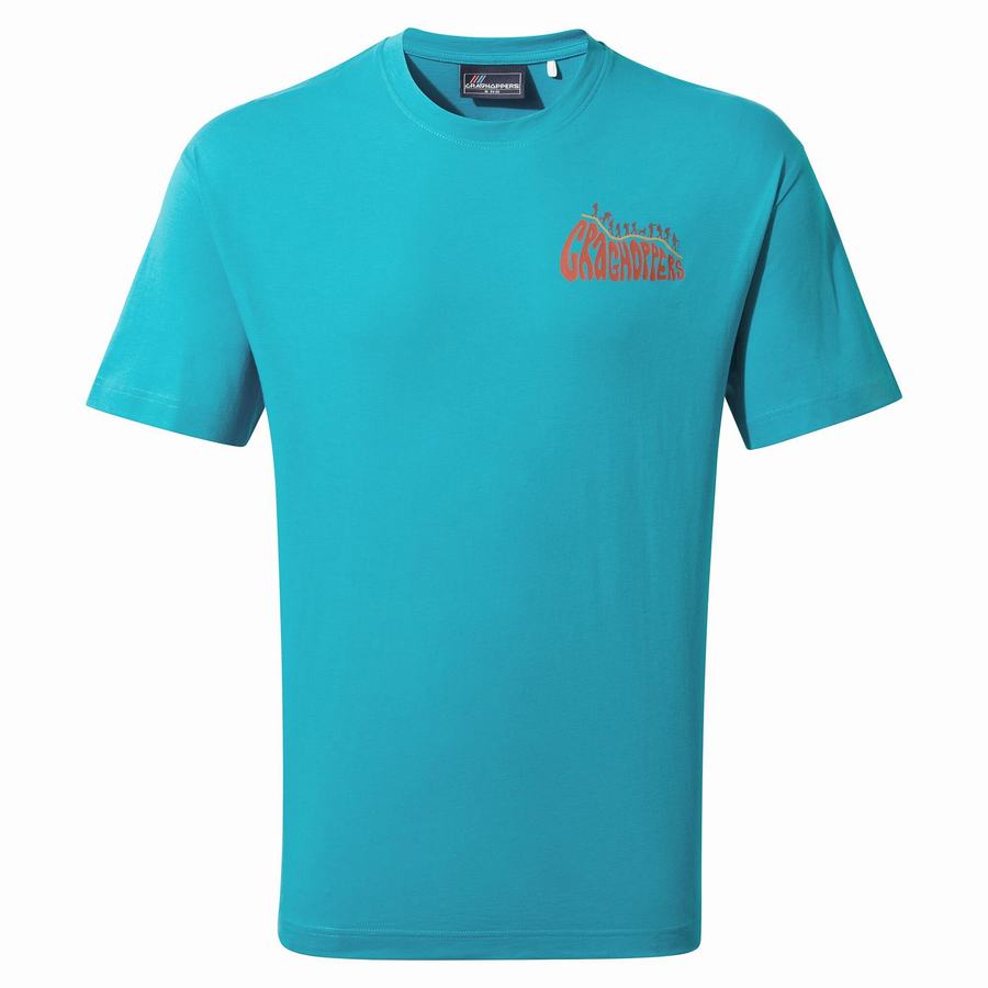 Blue Craghoppers Crosby Short Sleeved Men's T-Shirts | QLT3642IJ