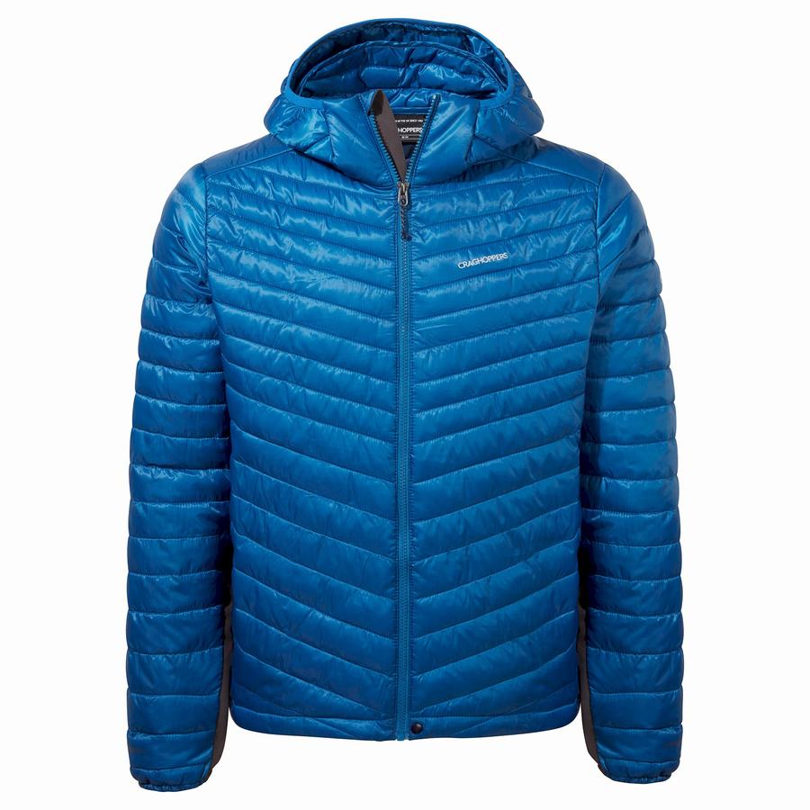 Blue Craghoppers ExpoLite Insulated Hooded Men's Jackets | JXG7899KC