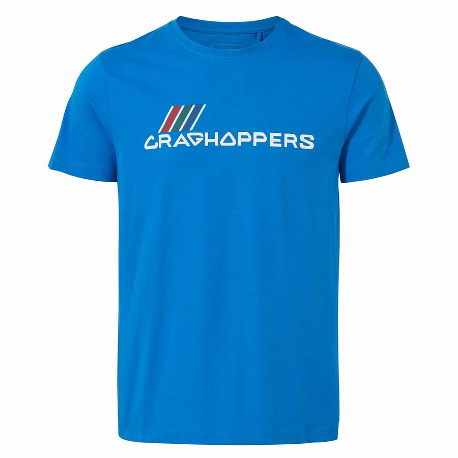 Blue Craghoppers Lugo Short Sleeved Men's T-Shirts | PUA849TY