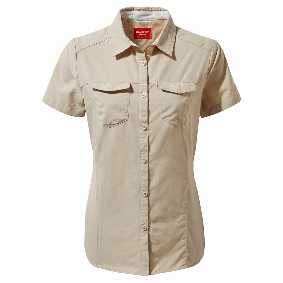 Brown Craghoppers NosiLife Adventure II Short Sleeved Women's Shirts | LJA2062VB