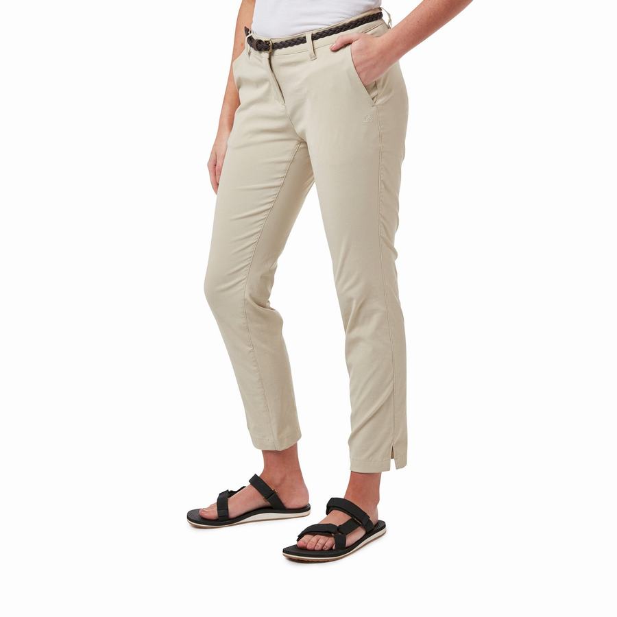 Brown Craghoppers NosiLife Briar Women's Trousers | TLV7023DZ