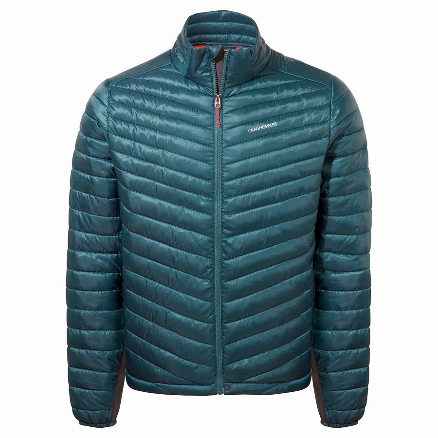 Dark Blue Craghoppers ExpoLite Insulated Men's Jackets | GPH1386EF