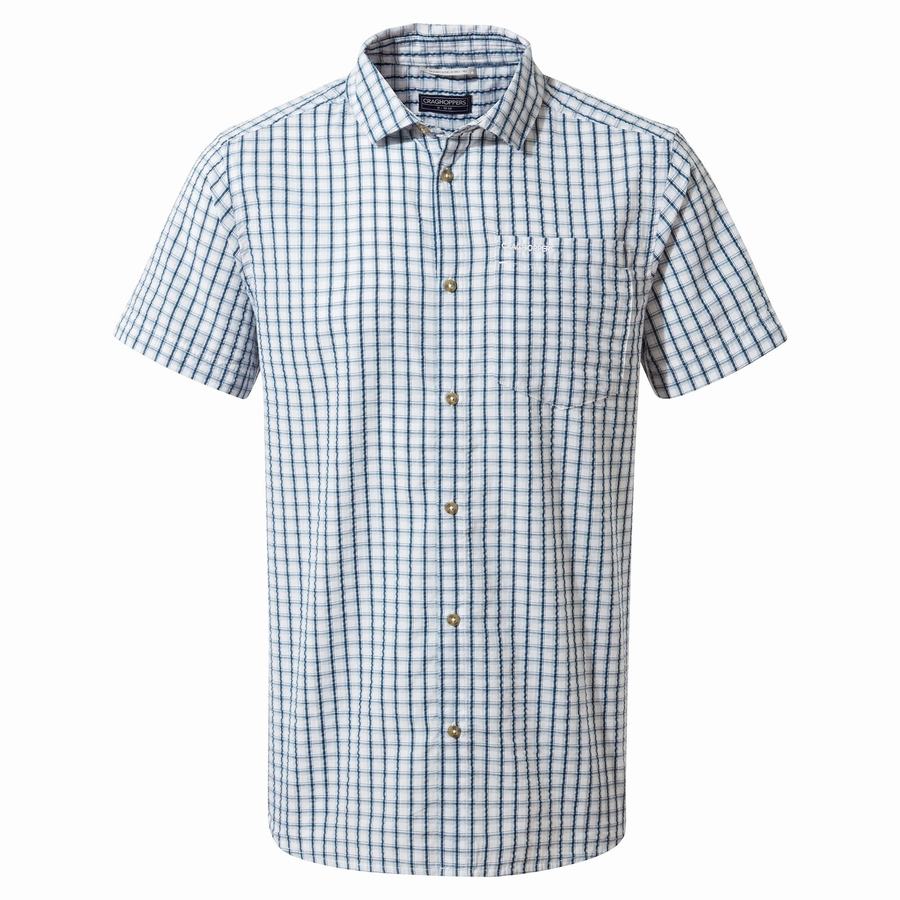 Green Craghoppers Dawson Short Sleeved Men's Shirts | XGH2951UK