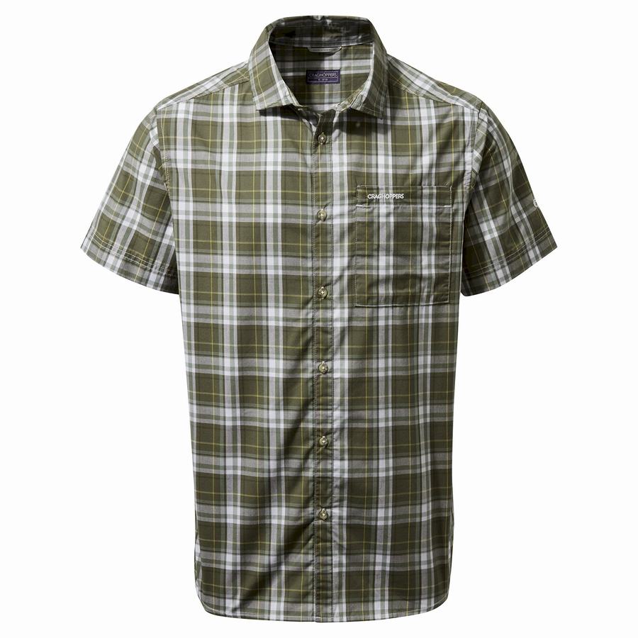 Green Craghoppers Vernon Short Sleeved Men's Shirts | CDW8740TE