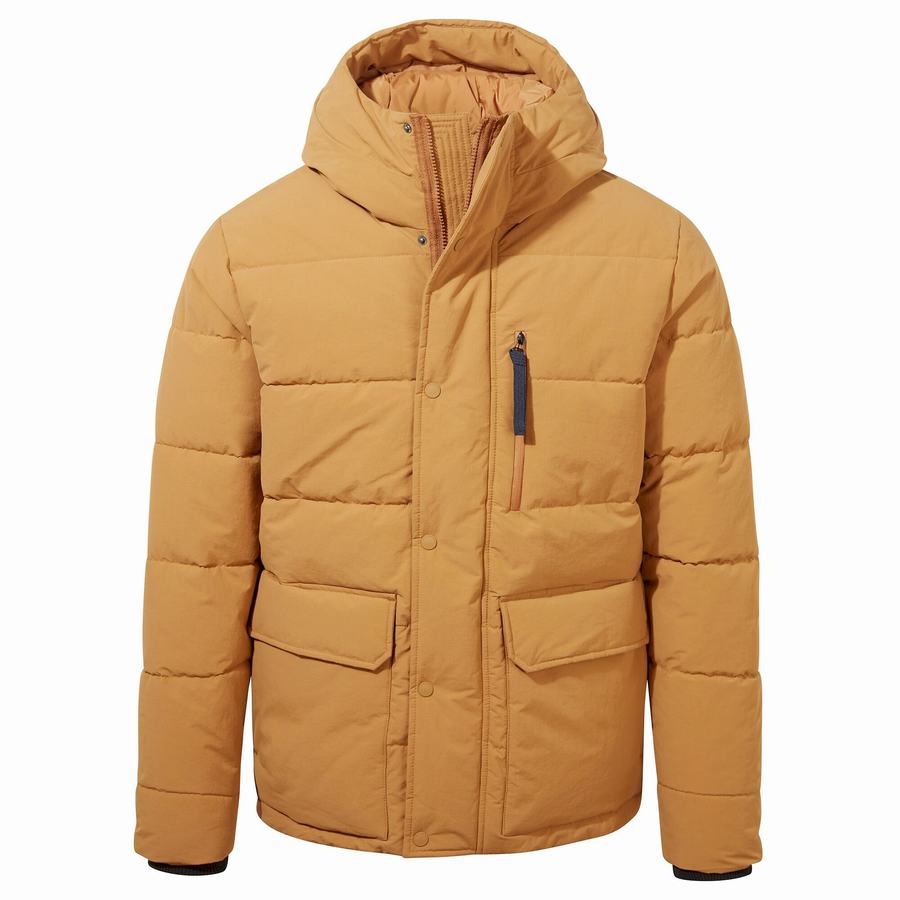 Grey Brown Craghoppers Dunbeath Insulated Hooded Men's Jackets | TBK8147ST