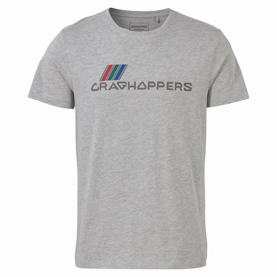 Grey Craghoppers Lugo Short Sleeved Men's T-Shirts | BDT4675KH