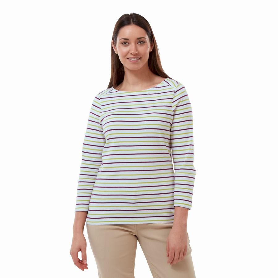 Light Green Stripes Craghoppers Blanca 3/4 Sleeved Top Women's T-Shirts | JPM4612FI