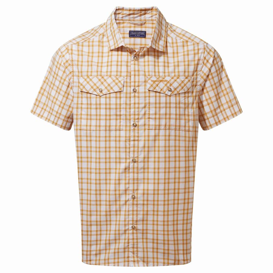 Multicolor Craghoppers Murray Short Sleeved Men's Shirts | DLO6542DC