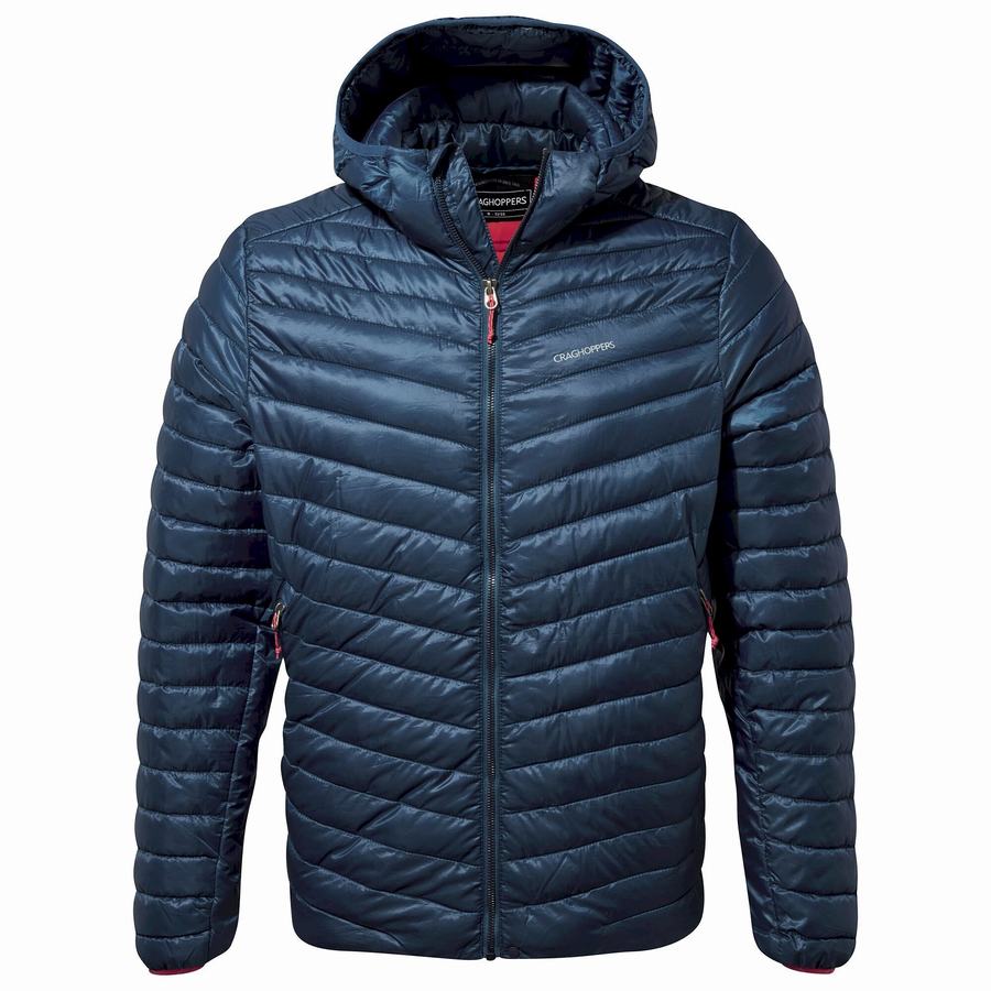 Navy Blue Craghoppers Insulated ExpoLite Hooded Men's Jackets | VPO3314VB