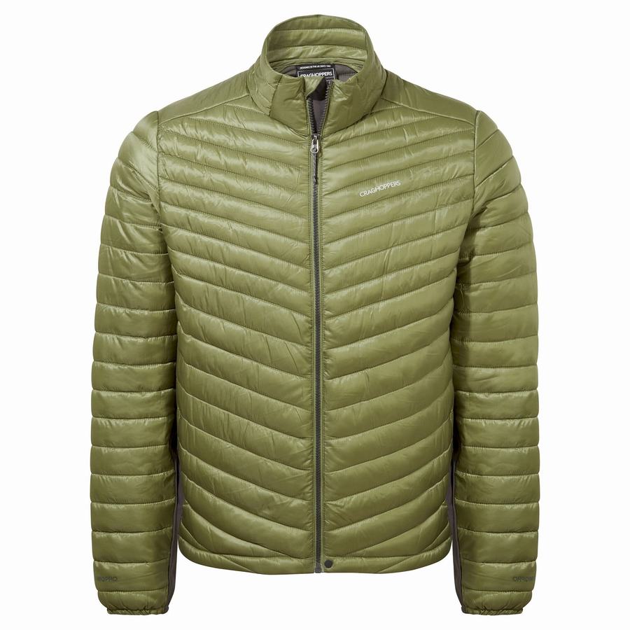 Olive Green Craghoppers ExpoLite Insulated Men's Jackets | TFA8557EK