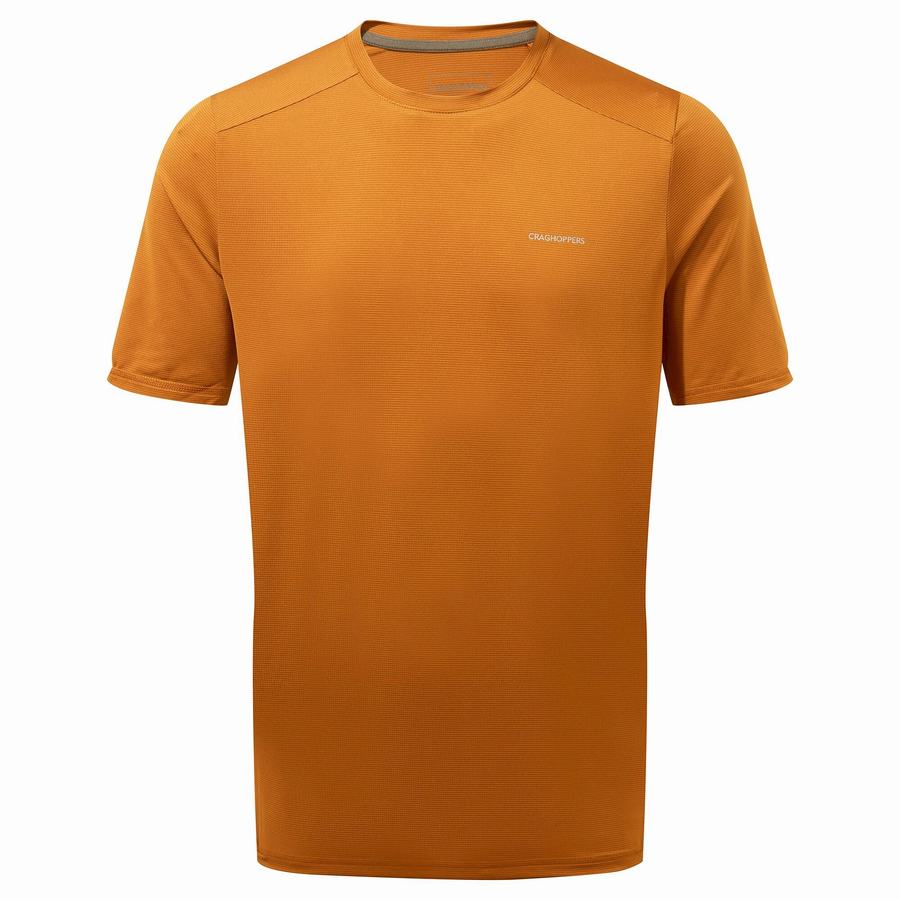 Orange Craghoppers Belardo Short Sleeved Men's T-Shirts | WIC5981ST