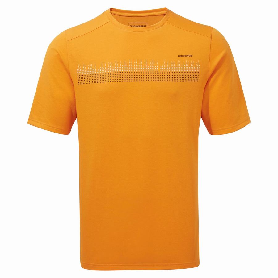 Orange Craghoppers Dynamic Short Sleeved Men's T-Shirts | FBA56IC