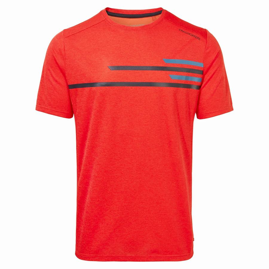 Orange Red Craghoppers NosiLife Pro Active Short Sleeved Men's T-Shirts | DGO342OF