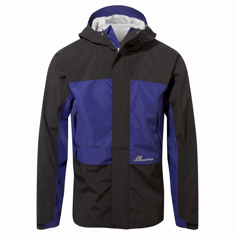 Purple Blue Black Craghoppers Dustin Insulated Men's Jackets | VWE6352KG