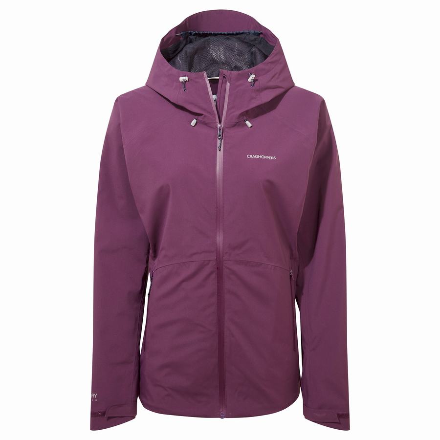 Purple Craghoppers Anza Women's Jackets | SEP8453GA