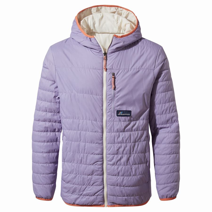 Purple Craghoppers Cameo CompressLite Hooded Men's Jackets | MOB333VH