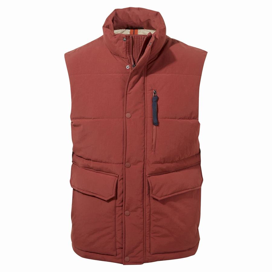 Red Craghoppers Dunbeath Vest Men's Gilets | OSZ496IK