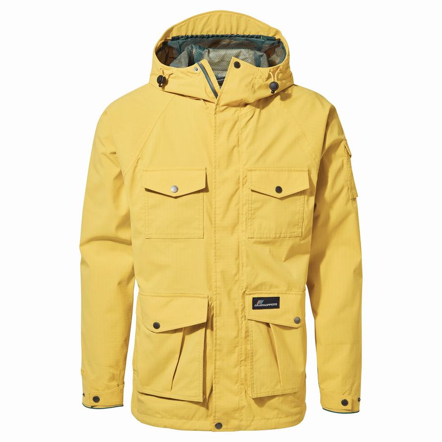 Yellow Craghoppers Canyon Men's Jackets | PND3690WX