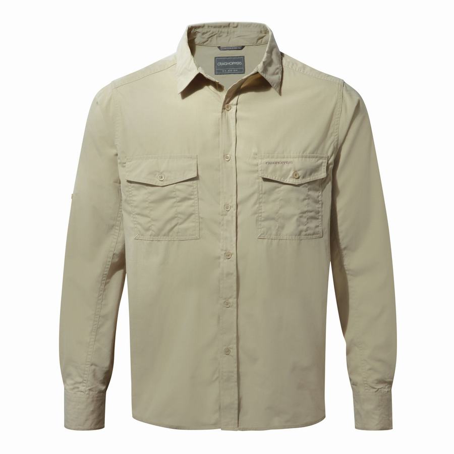 Beige Craghoppers Kiwi Long Sleeved Men's Shirts | ZXI7356TP