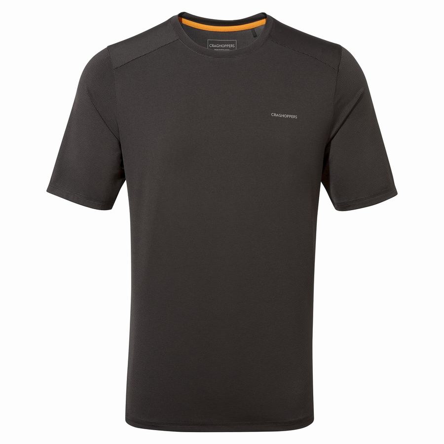 Black Craghoppers Belardo Short Sleeved Men's T-Shirts | MFS9391MN