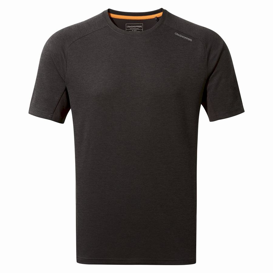 Black Craghoppers Dynamic Pro Short Sleeved Men's T-Shirts | MAE3770QS