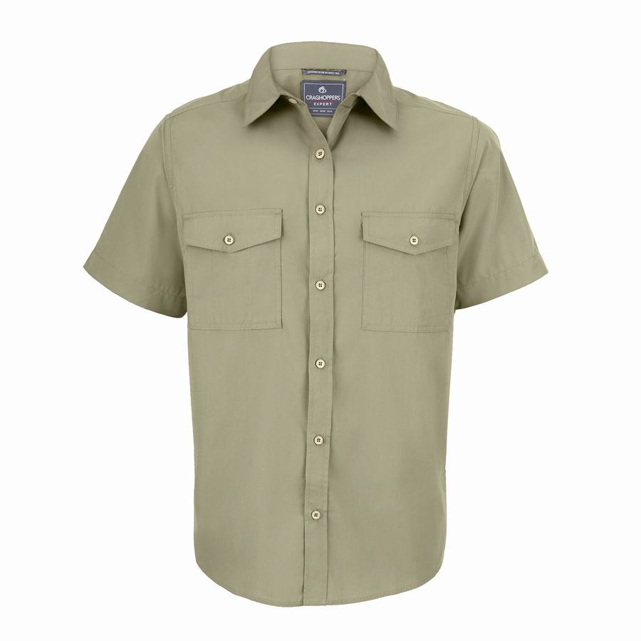 Black Craghoppers Expert Kiwi Short Sleeved Men's Shirts | YQW3929IH