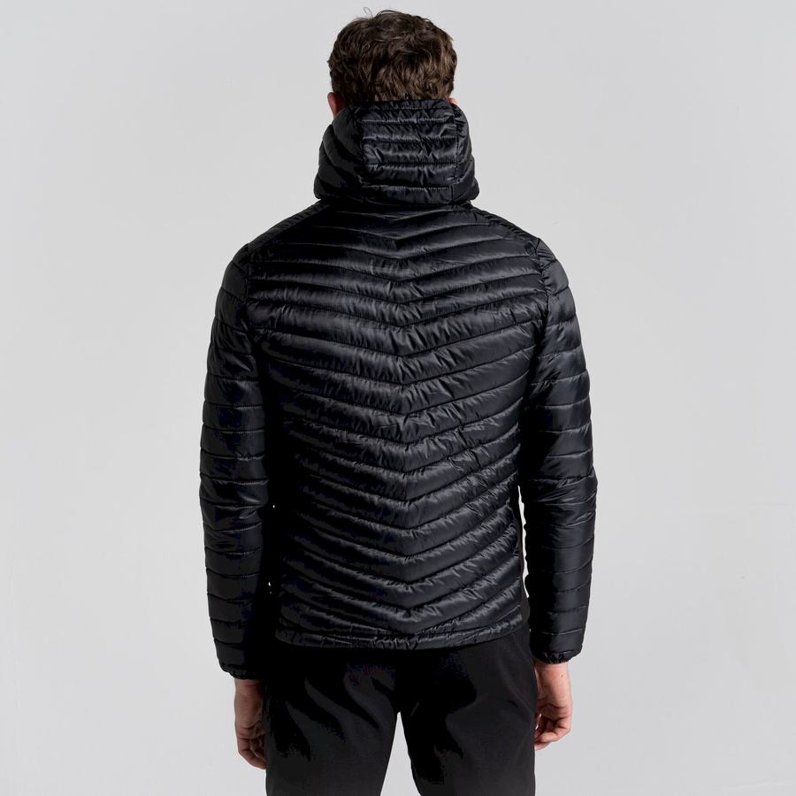 Black Craghoppers ExpoLite Insulated Hooded Men's Jackets | BCP1290SY