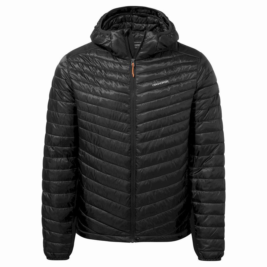 Black Craghoppers ExpoLite Insulated Hooded Men\'s Jackets | BCP1290SY