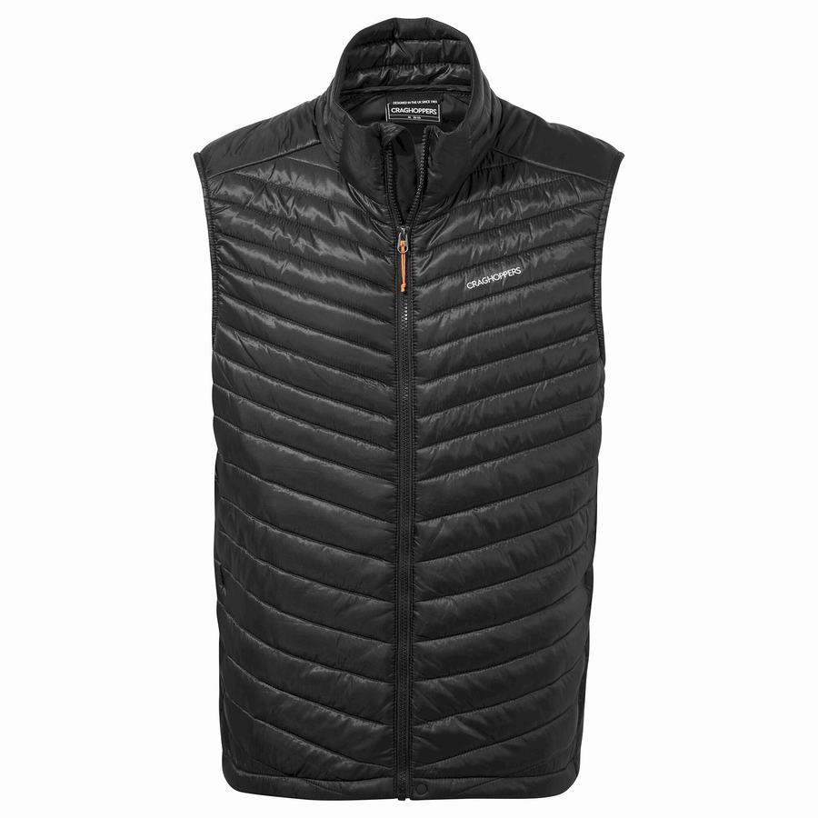 Black Craghoppers ExpoLite Insulated Vest Men\'s Gilets | BCM834IB