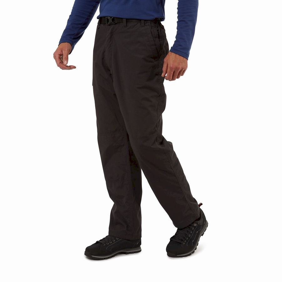 Black Craghoppers Kiwi Winter Lined Men's Trousers | XEK2285AI