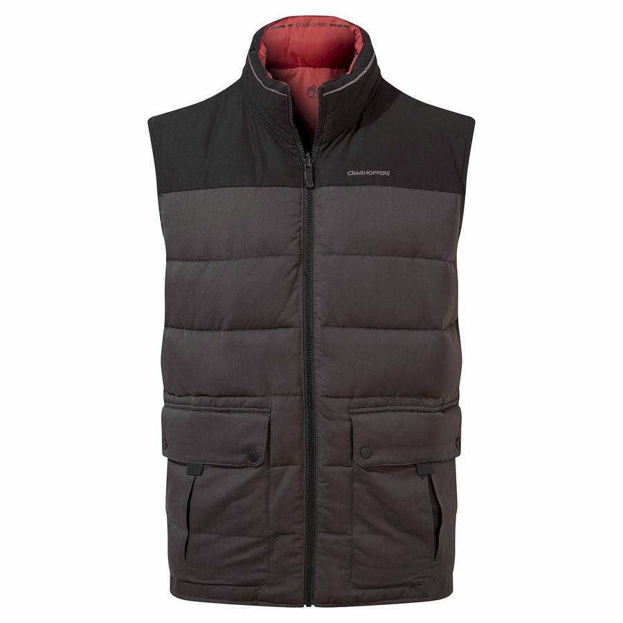 Black Craghoppers Trillick Downlike Men's Gilets | RIA8217VD