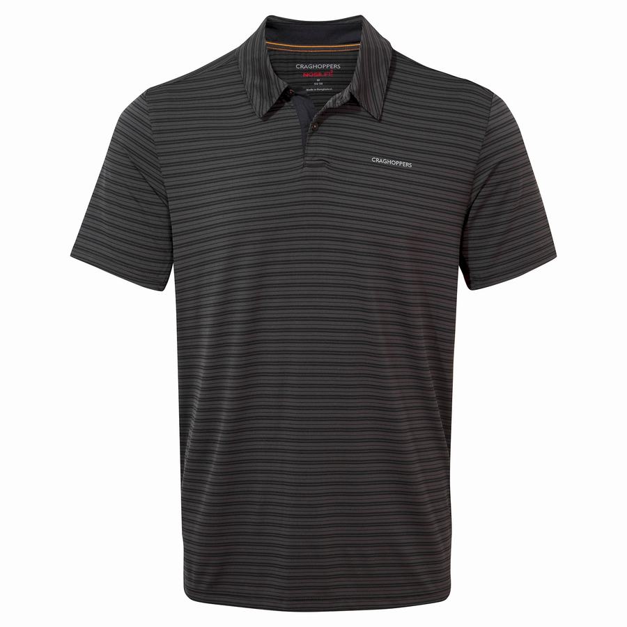 Black Stripes Craghoppers NosiLife Pro Short Sleeved Polo Men's T-Shirts | HHP4017KE