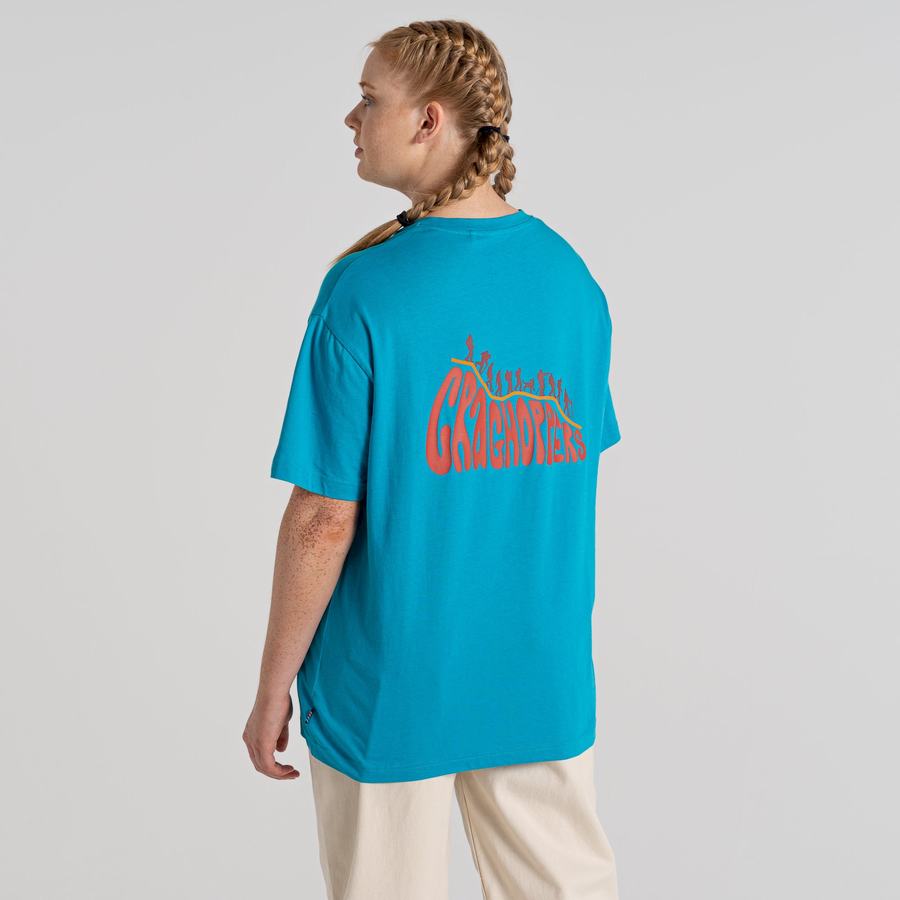 Blue Craghoppers Crosby Short Sleeved Men's T-Shirts | QLT3642IJ