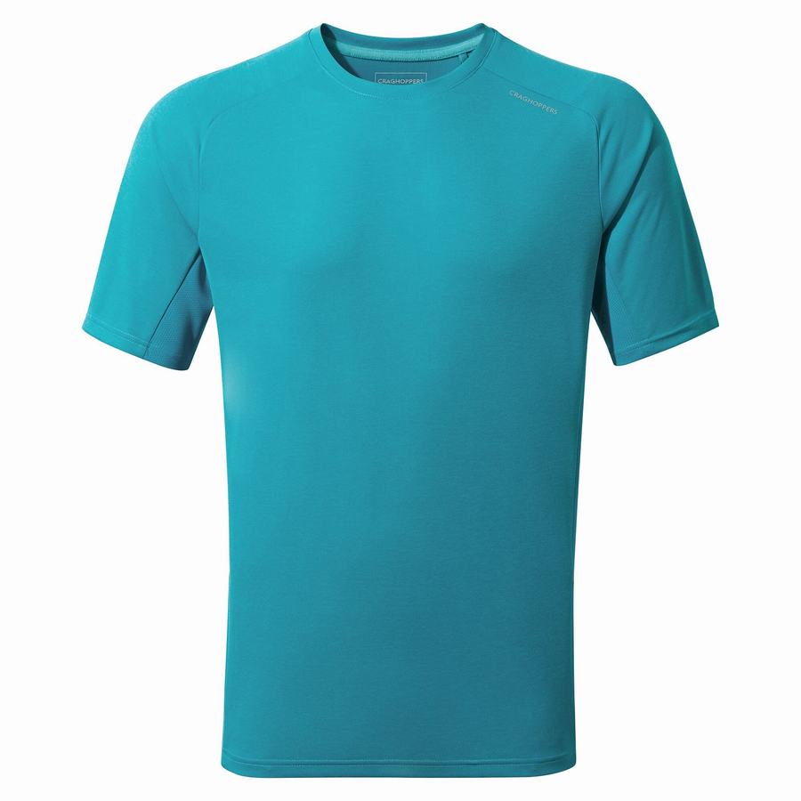 Blue Craghoppers Dynamic Pro Short Sleeved Men\'s T-Shirts | OOE1935FG