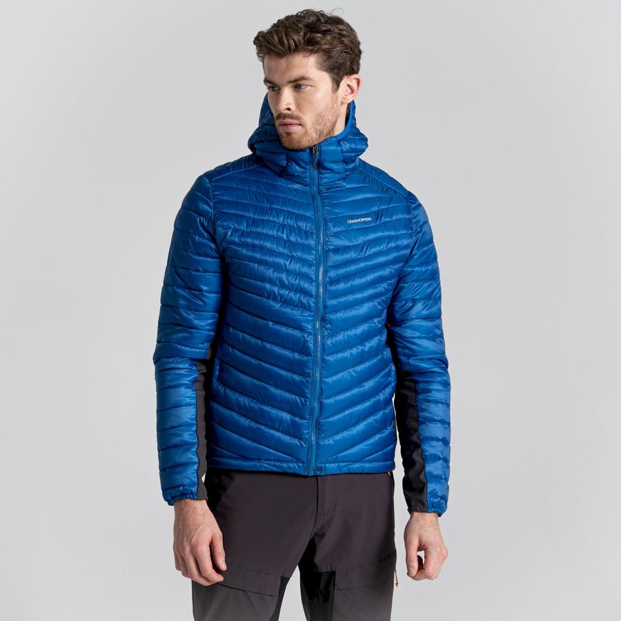 Blue Craghoppers ExpoLite Insulated Hooded Men's Jackets | JXG7899KC