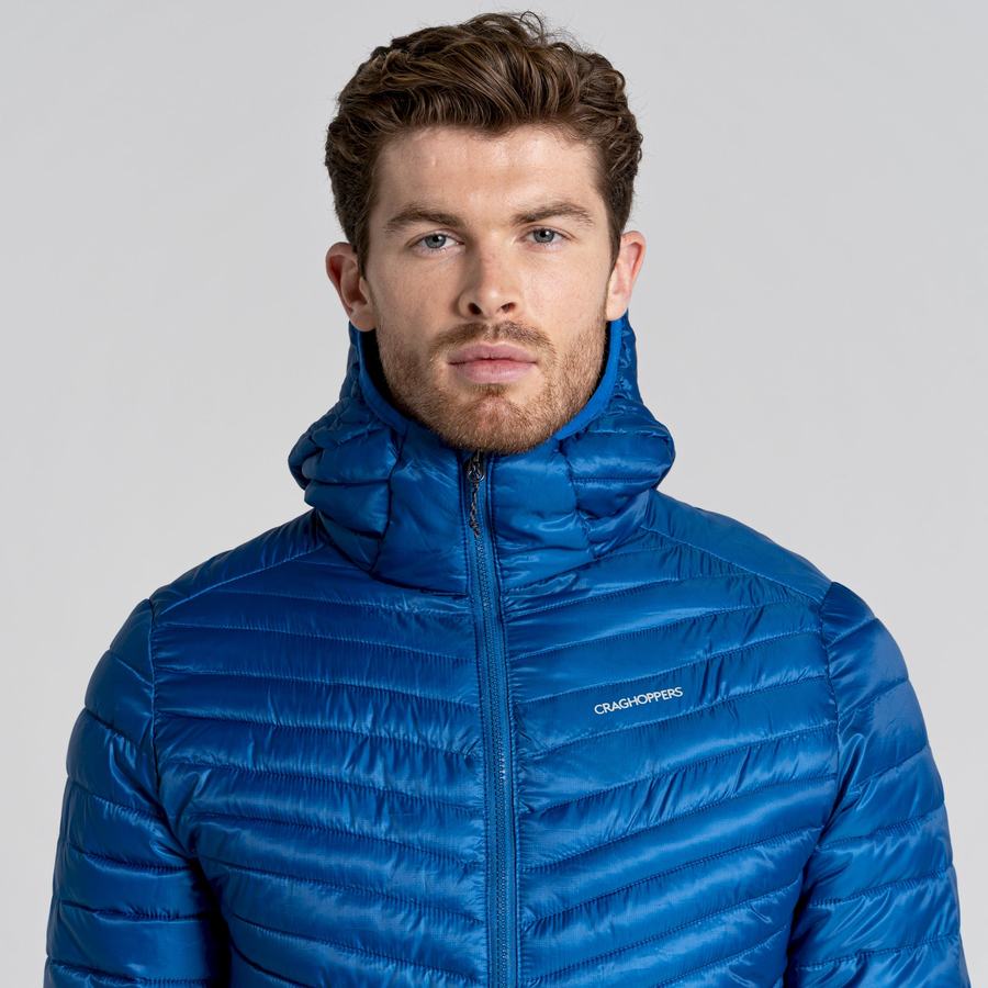 Blue Craghoppers ExpoLite Insulated Hooded Men's Jackets | JXG7899KC