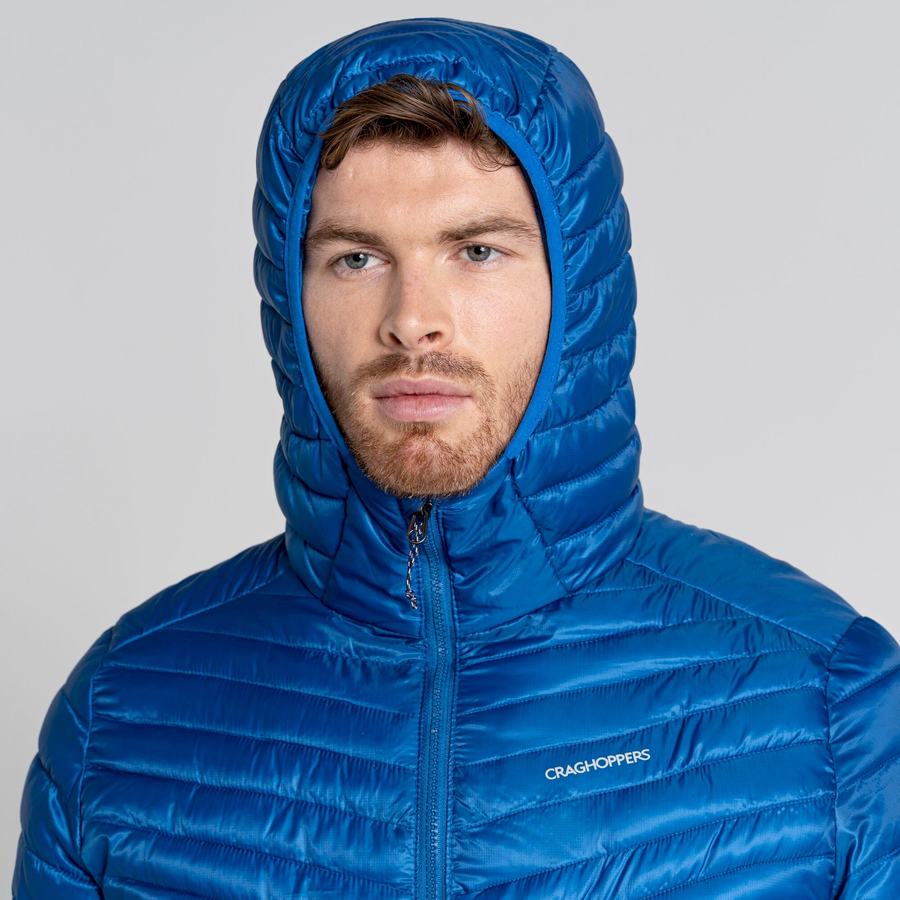 Blue Craghoppers ExpoLite Insulated Hooded Men's Jackets | JXG7899KC