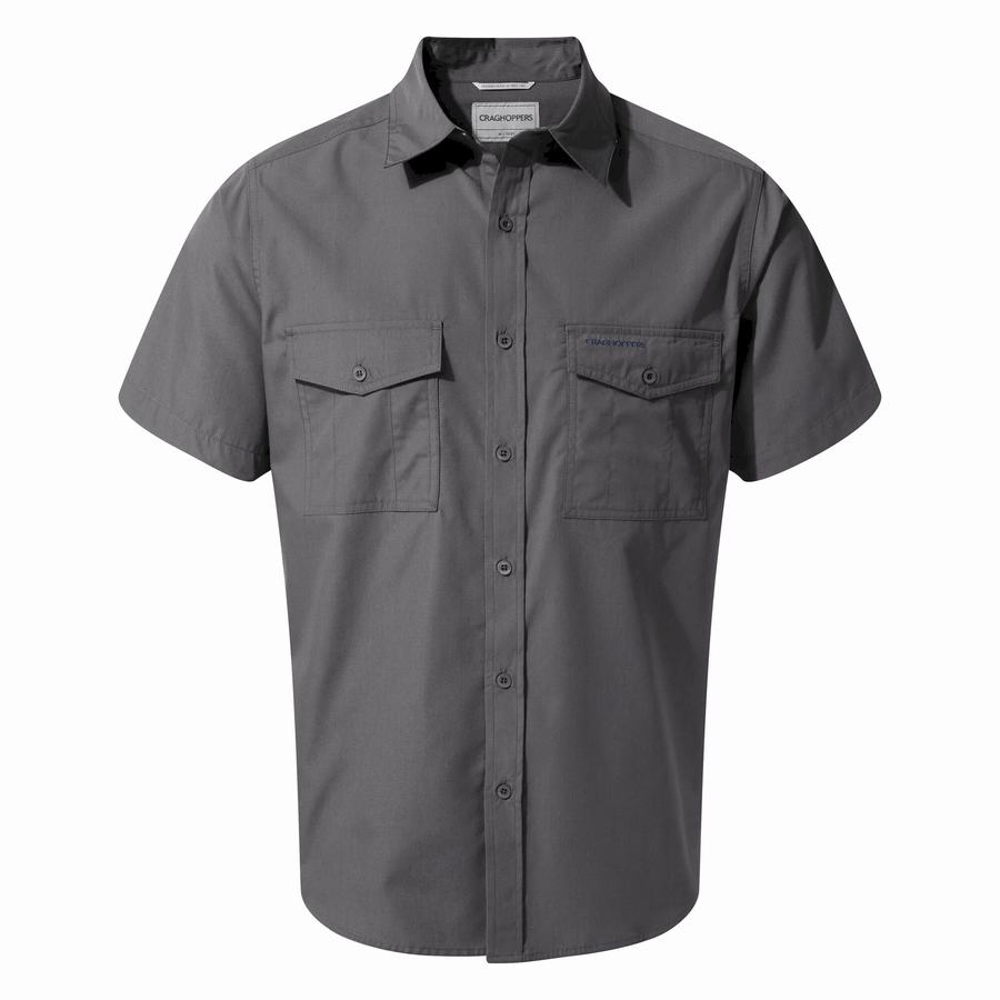 Blue Craghoppers Kiwi Short Sleeved Men\'s Shirts | XEX2390JY