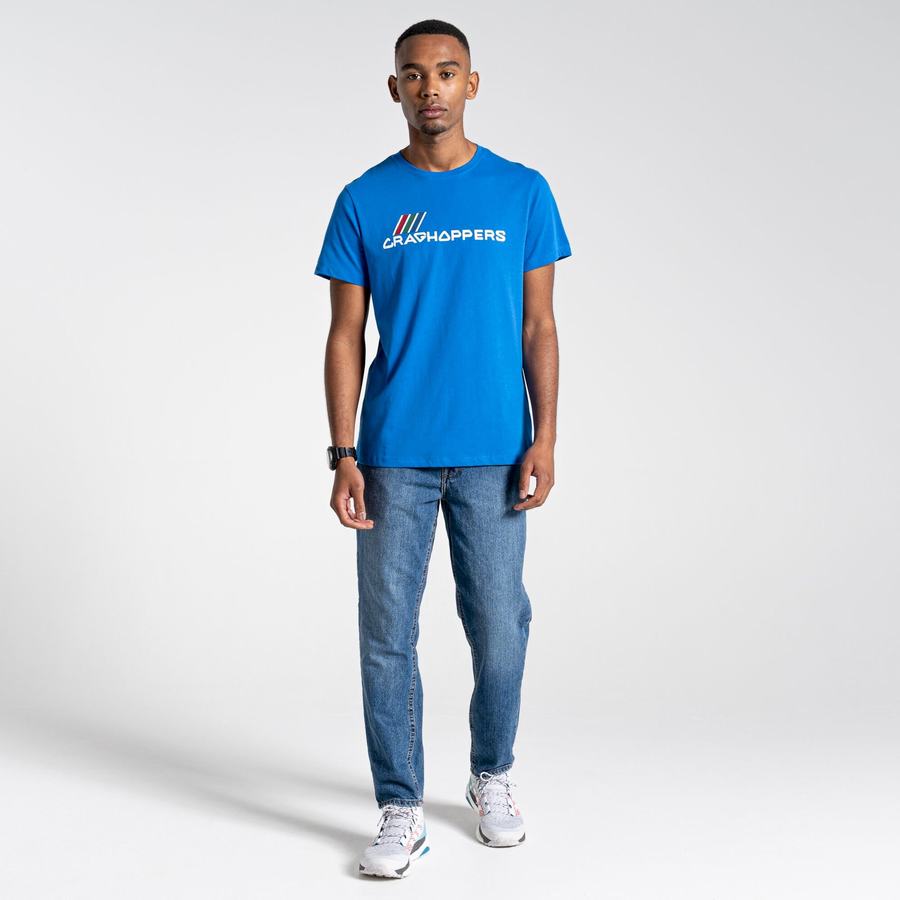 Blue Craghoppers Lugo Short Sleeved Men's T-Shirts | PUA849TY