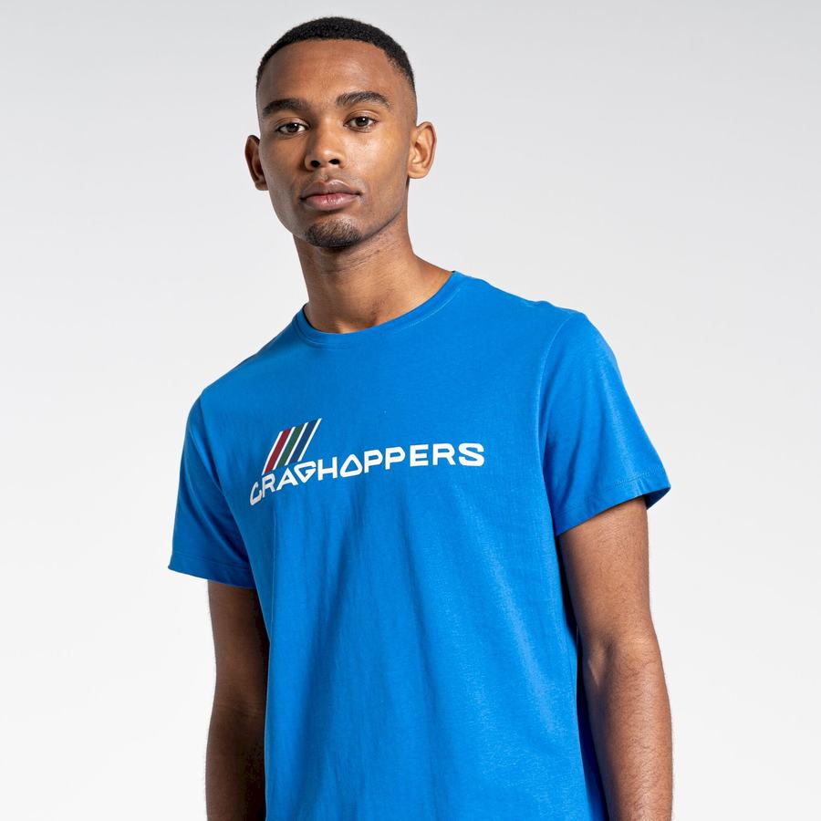 Blue Craghoppers Lugo Short Sleeved Men's T-Shirts | PUA849TY