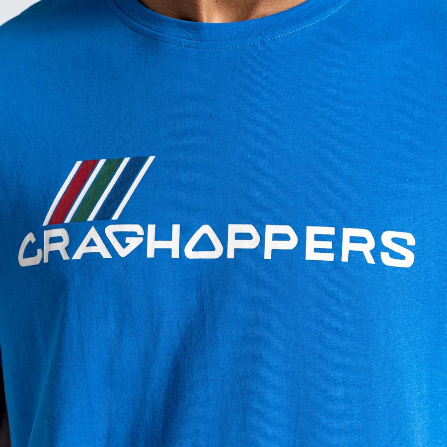 Blue Craghoppers Lugo Short Sleeved Men's T-Shirts | PUA849TY