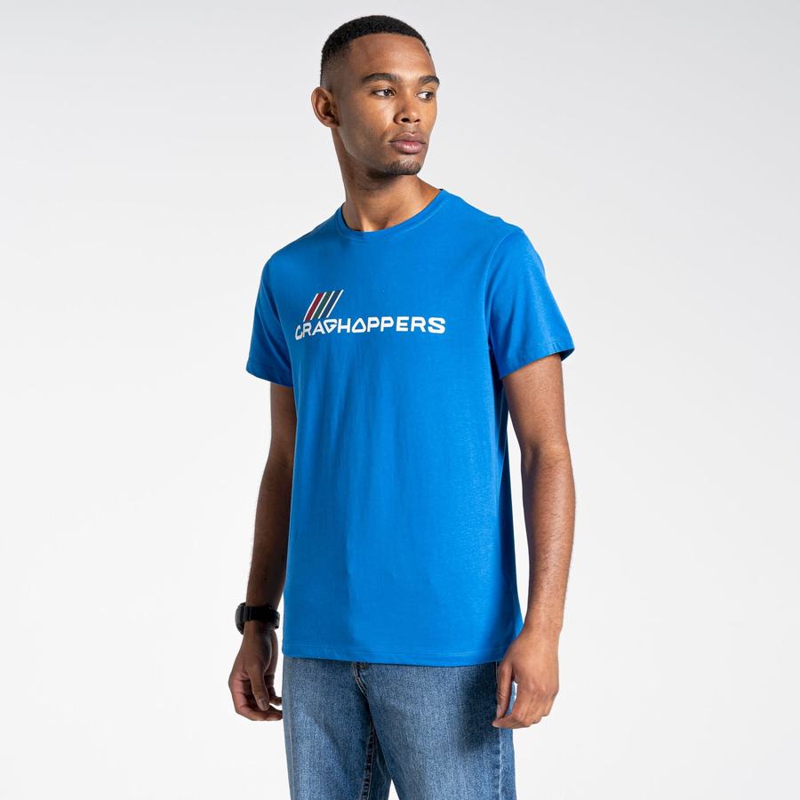 Blue Craghoppers Lugo Short Sleeved Men's T-Shirts | PUA849TY