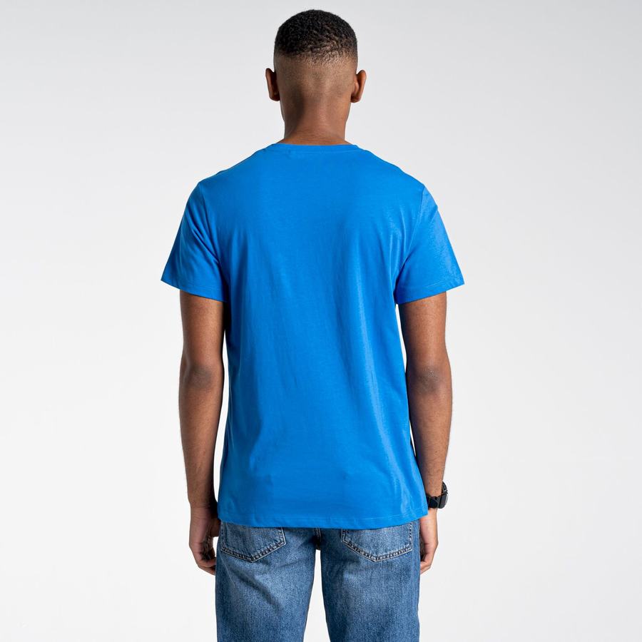 Blue Craghoppers Lugo Short Sleeved Men's T-Shirts | PUA849TY