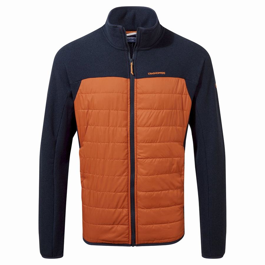 Blue Navy Craghoppers Finglas Hybrid Men's Jackets | QQO8942PB