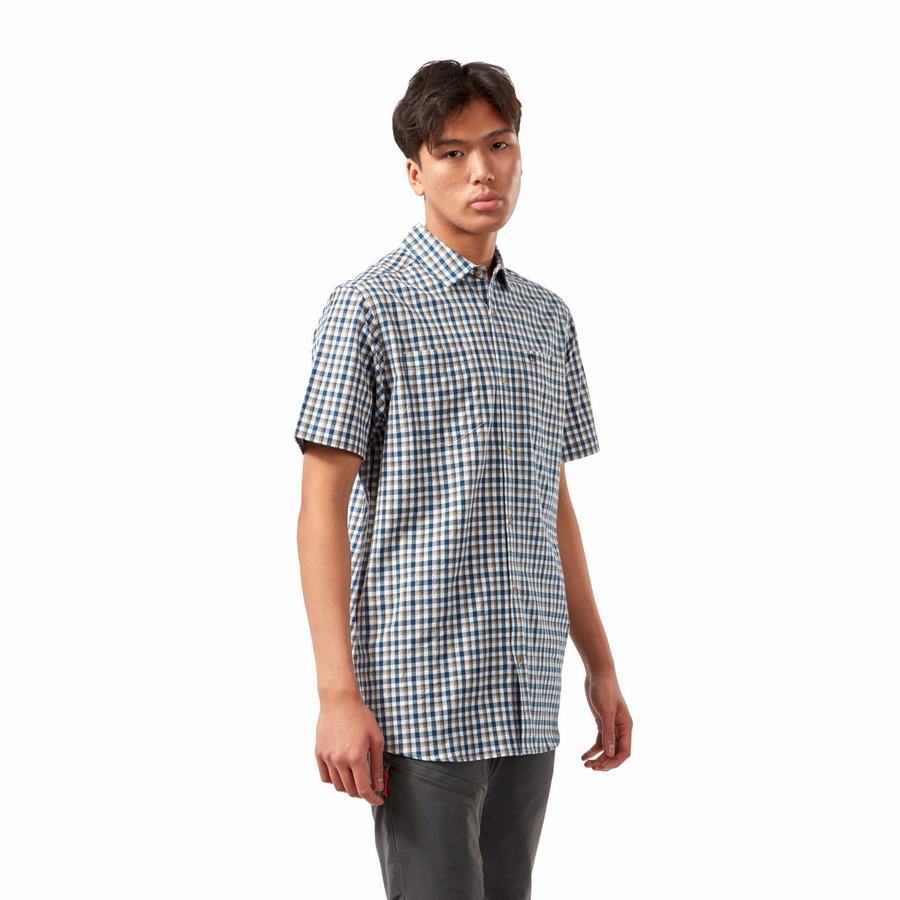 Blue Navy Craghoppers Nour Short Sleeved Check Men's Shirts | QHH835RT