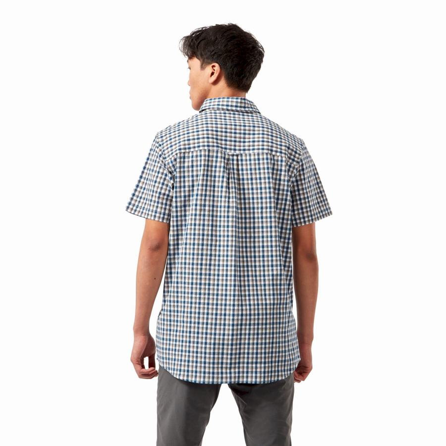 Blue Navy Craghoppers Nour Short Sleeved Check Men's Shirts | QHH835RT